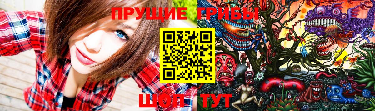 Псилоцибиновые грибы ЛСД  Псилоцибиновые грибы ЛСД  Сальск  Вход с VPN 
